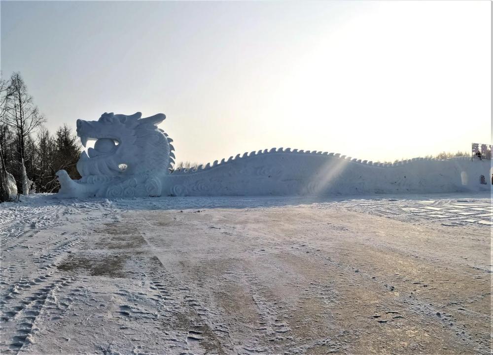 绥化市：客似云来逐冰雪 北林风光正当时