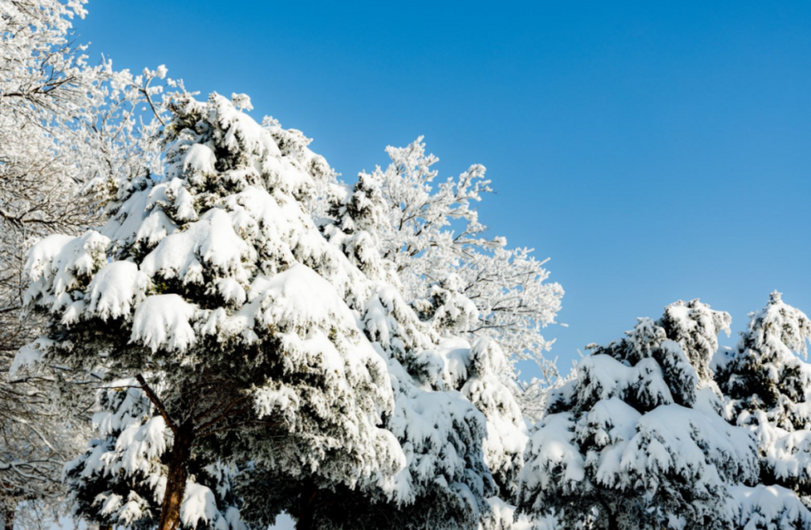 Baiyun Mountain Transforms into a Pure White 'Fairyland' in Early Spring_fororder_图片4