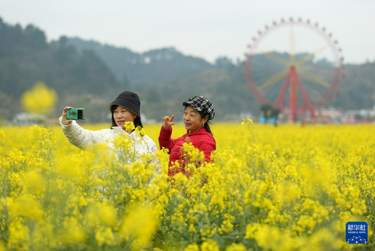 贵州贵定：“农旅融合”促振兴