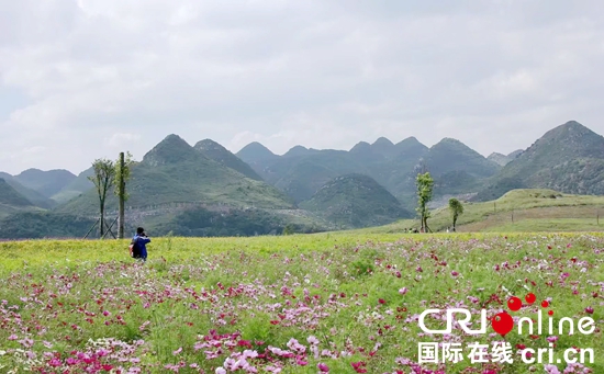 一城清水满目春——贵州六盘水践行“两山论”加强水环境治理见闻_fororder_六盘水2