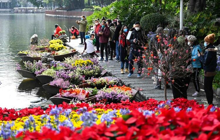 花开岭南待客来——“请到广东过大年”侧记