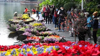 花开岭南待客来——“请到广东过大年”侧记