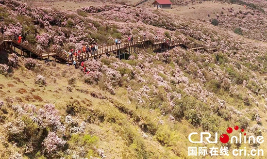 一城清水满目春——贵州六盘水践行“两山论”加强水环境治理见闻_fororder_六盘水3