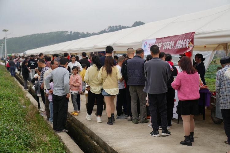 广西兴业县打造乡村旅游“兴”名片_fororder_图片7