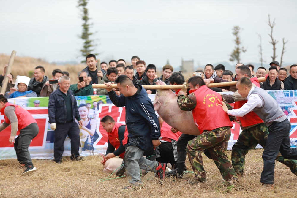 贵州惠水：集体过小年 逮猪乐翻天_fororder_2X7A0134.JPG