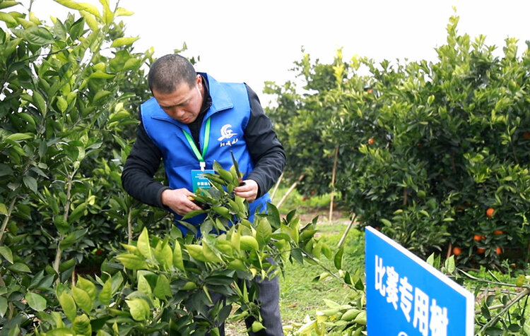 （转载）内江市资中县举办第二届“船城技工”职业技能大赛