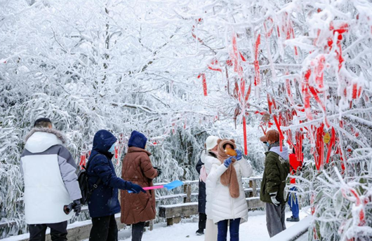 重庆南川：登高祈福赏瑞雪  热闹民俗贺新春_fororder_微信图片_20240205160229