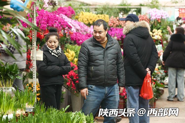 年宵花走俏！年味儿越来越浓 西安花卉市场持续升温