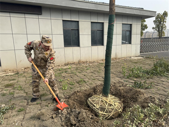 南通市通州区兴东街道：春暖花开正当时 民兵植树显风采_fororder_图片1