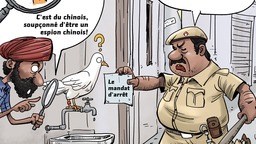 【Actualité en caricatures】Considérer le pigeon comme un espion