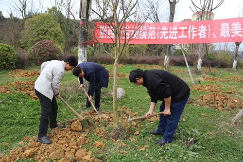 （供稿）贵州黔西：开展“弘扬劳模精神·共建美丽黔西”义务植树活动_fororder_微信图片_20240313093618