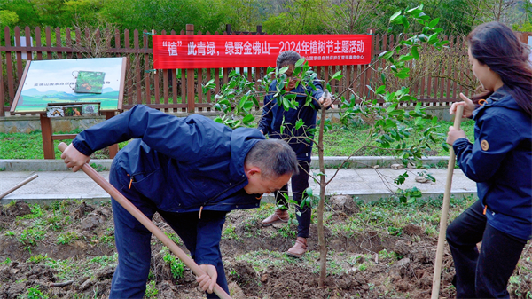 “植”此青绿 重庆金佛山国家级自然保护区植树忙_fororder_图片6