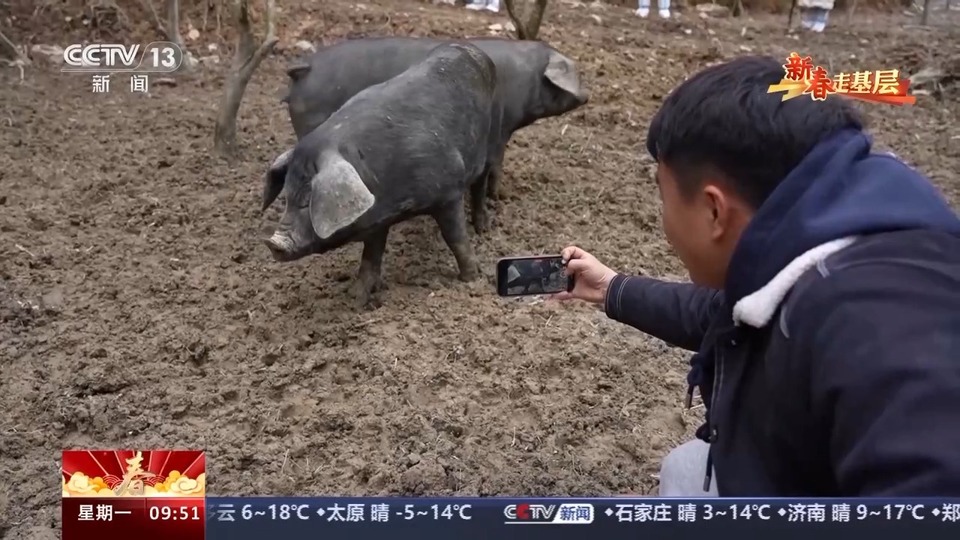 新春走基层丨90后扎根家乡 助力乡村蹚出电商新赛道