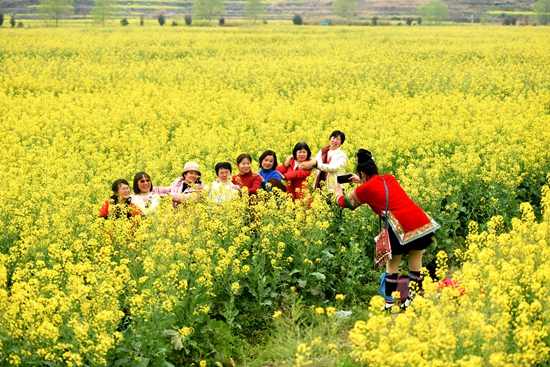 贵州黎平：万亩油菜花开引客来 加速春季旅游复苏_fororder_微信图片_20240318155055