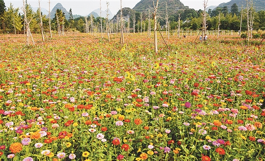 漓江上游增福地 古韵神奇看灵川 ——灵川县创建广西特色旅游名县工作纪实