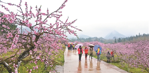 漓江上游增福地 古韵神奇看灵川 ——灵川县创建广西特色旅游名县工作纪实