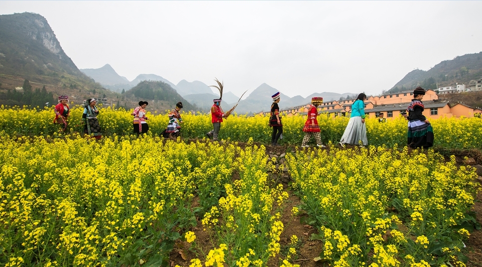 贵州水城陡箐镇梅子关村500亩油菜花进入最佳观赏期_fororder_微信图片_20240320135433