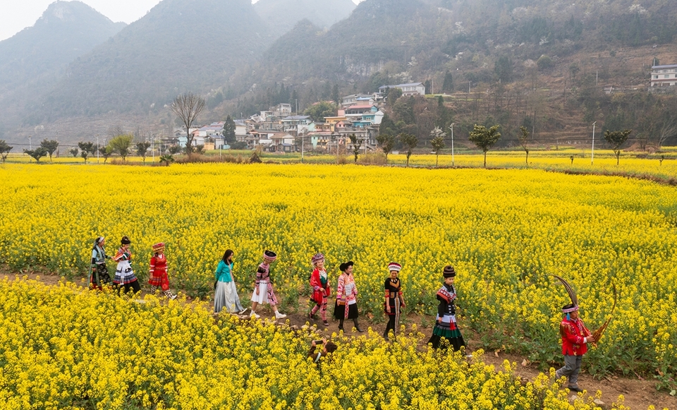 贵州水城陡箐镇梅子关村500亩油菜花进入最佳观赏期_fororder_微信图片_20240320135436