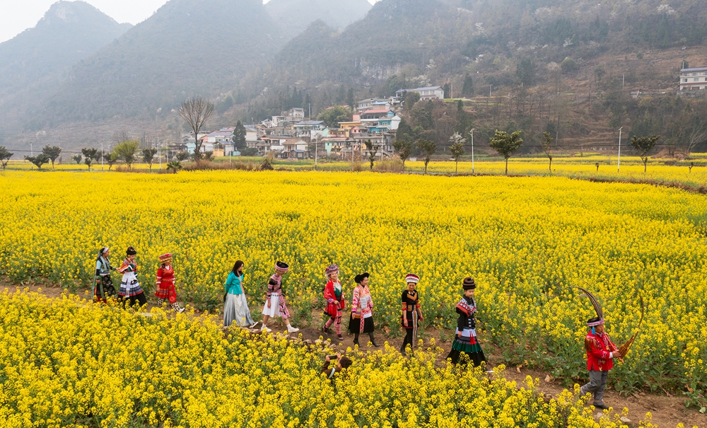 贵州水城陡箐镇梅子关村500亩油菜花进入最佳观赏期_fororder_微信图片_20240320135436