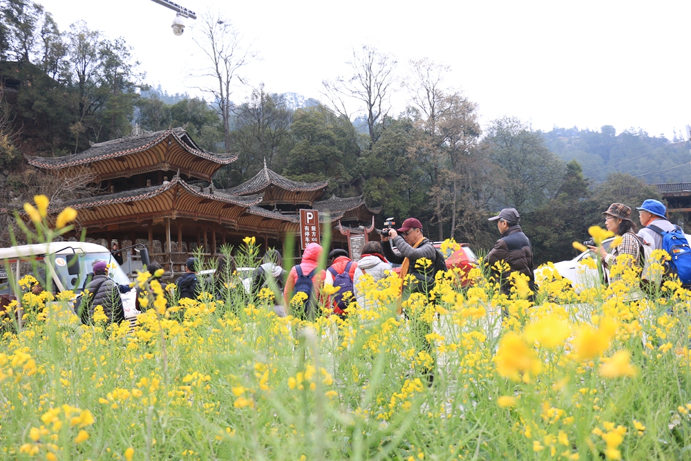 贵州雷山郎德苗寨：油菜花盛景催生“花经济”_fororder_图为郎德游客在拍照留念.JPG