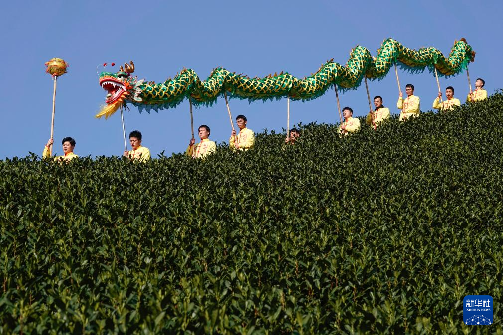 浙江杭州：茶乡“喊山祈茶” 庆祝春茶开摘