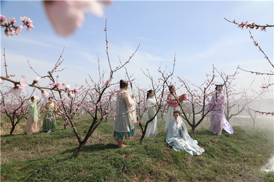 信阳市光山县第七届斛山桃花文化节开幕_fororder_图片2