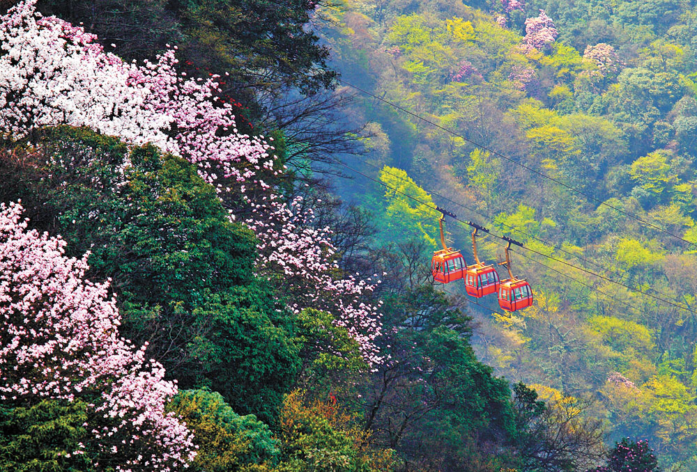 【焦点图】金佛山北坡将升级