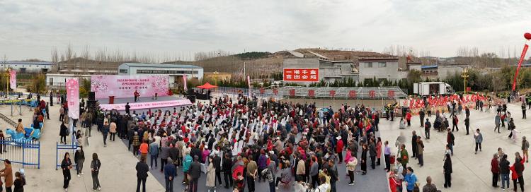 东风暖，樱花灿 北市的春日“盛宴”正等你 2024花开北市樱花旅游节开幕