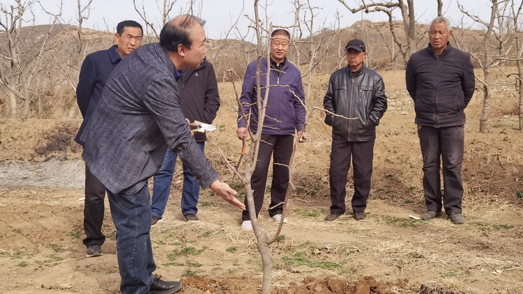 河北唐县：开展科技下乡 助力乡村振兴_fororder_县职教中心高级农艺师教授农户病虫害早期防治及施肥浇水等实用技术