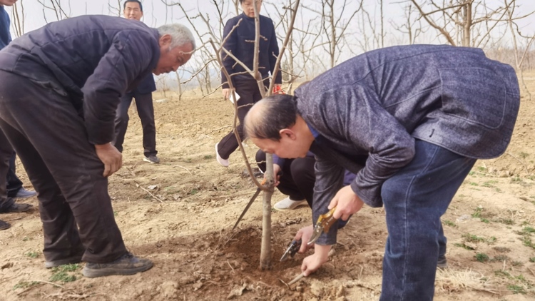 河北唐县：开展科技下乡 助力乡村振兴_fororder_老师手把手教授农户如何科学种植