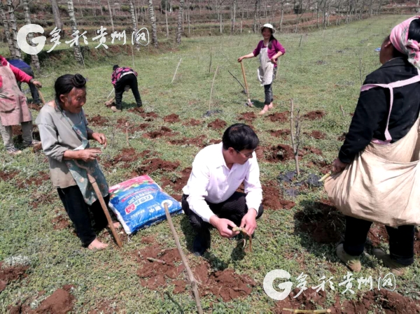 （人物、社会）胡荣平：生命不止，奋斗不息 愿把一生献给畜牧事业