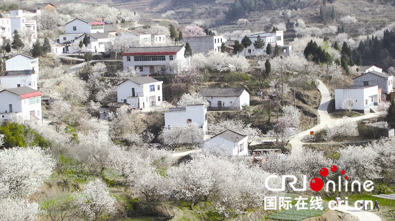 湖北郧阳举行第二届乡村旅游文化节