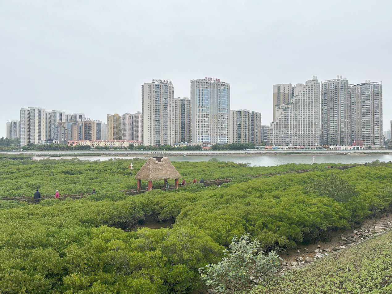 广西防城港人大积极发挥立法作用 守护美丽生态海堤_fororder_图片2