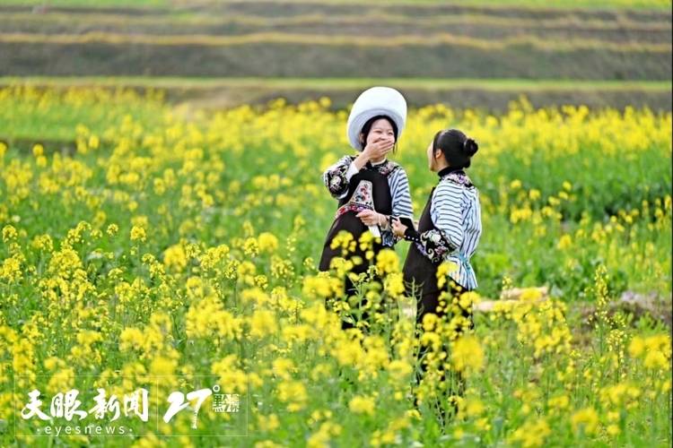 贵州：文旅产业气象万千 “诗和远方”相得益彰