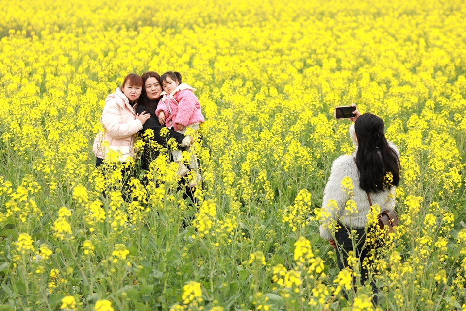 贵州天柱：油菜花开引客来_fororder_游客在凤城大坝油菜花田间打卡拍照3