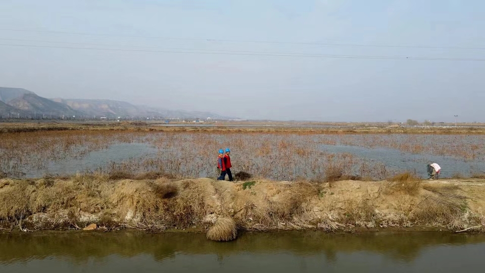 “电保姆”护航“大天鹅”_fororder_微信图片_20240305102827