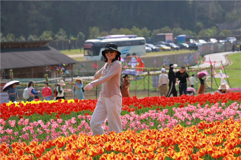 【春日里的河南】信阳固始：郁金香花海美如画_fororder_4游客花中舞