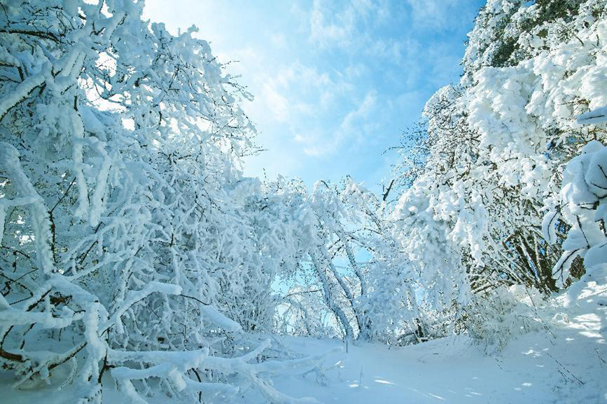 平顶山鲁山：冰雪世界春有约