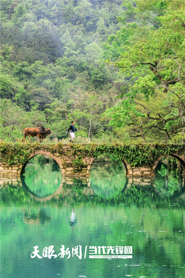 “黔”景无限！贵州奋力打造世界级旅游目的地