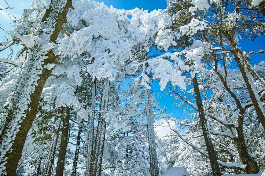 平顶山鲁山：冰雪世界春有约