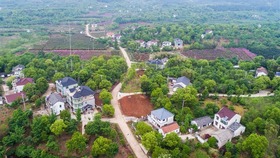 Rural living environment greatly improved in Zhejiang, east China