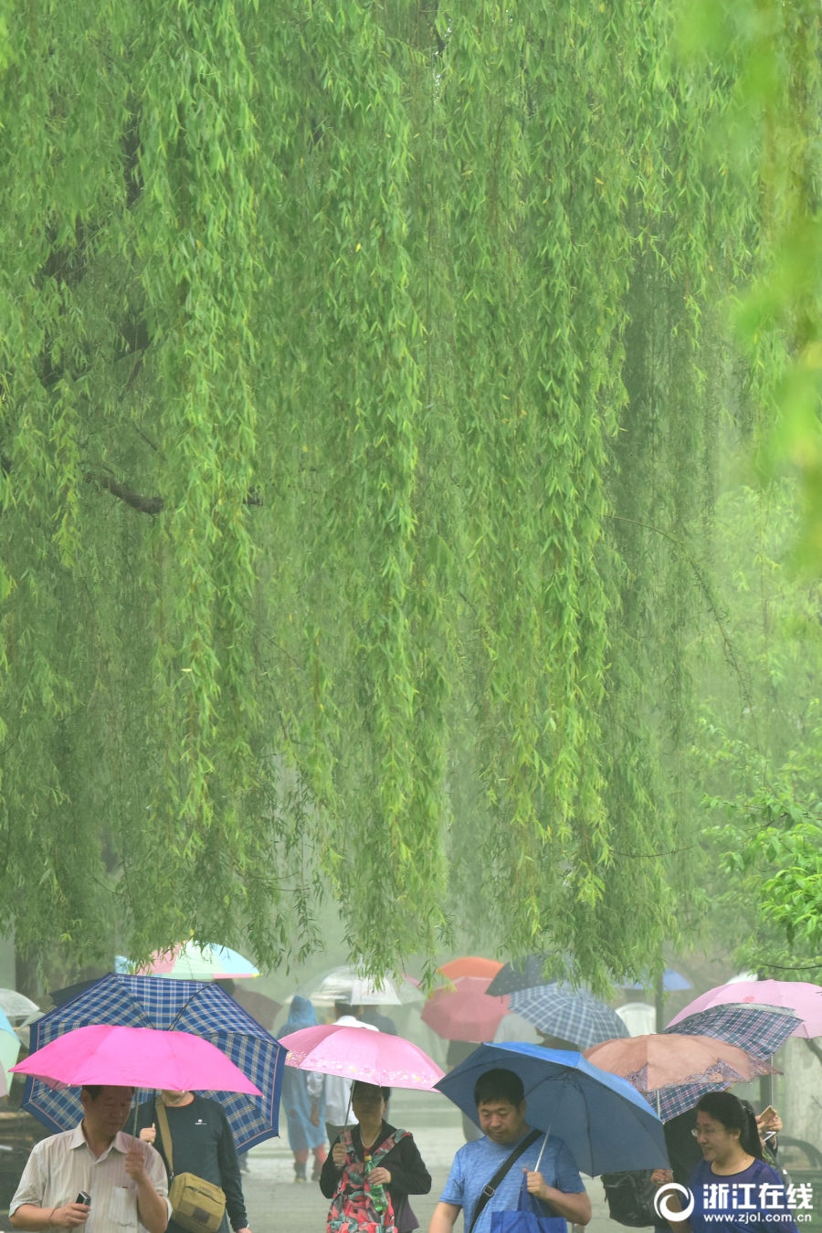 雨中西湖别样美