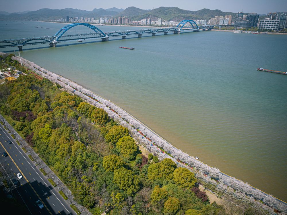 跻身超大城市行列，杭州展现“磁吸力”