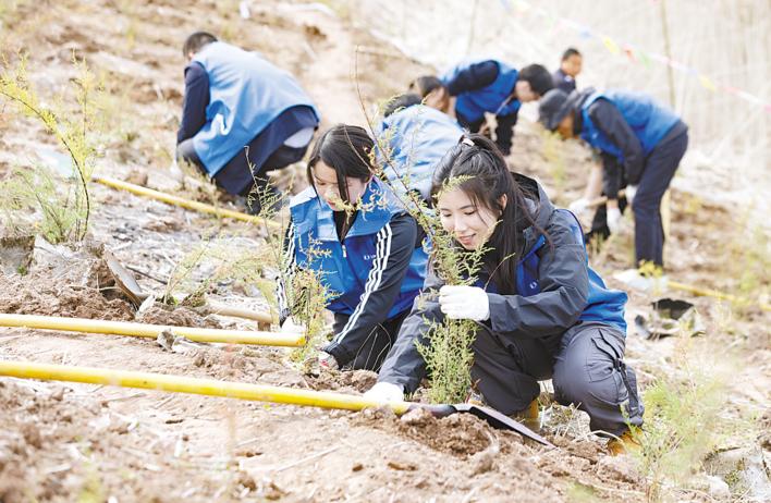 20多年接续抢救 成活率90%以上 三峡集团保护珍稀濒危植物2.98万株