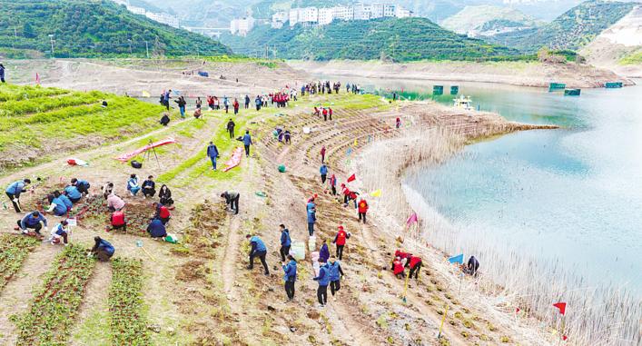 20多年接续抢救 成活率90%以上 三峡集团保护珍稀濒危植物2.98万株