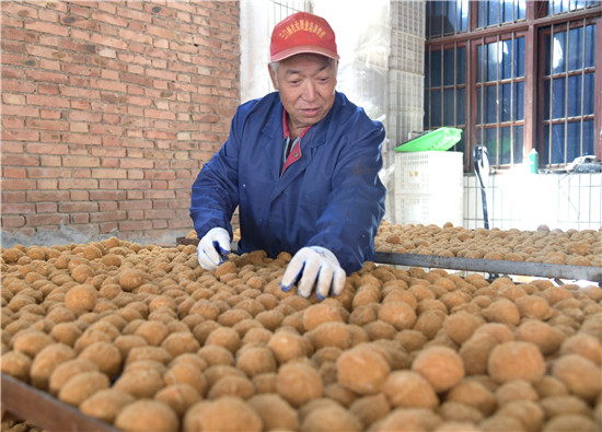 三门峡示范区阳店镇：皮蛋变“金蛋” 敲响致富门_fororder_工人正在晾晒已腌制好的皮蛋 摄影 彭红勇