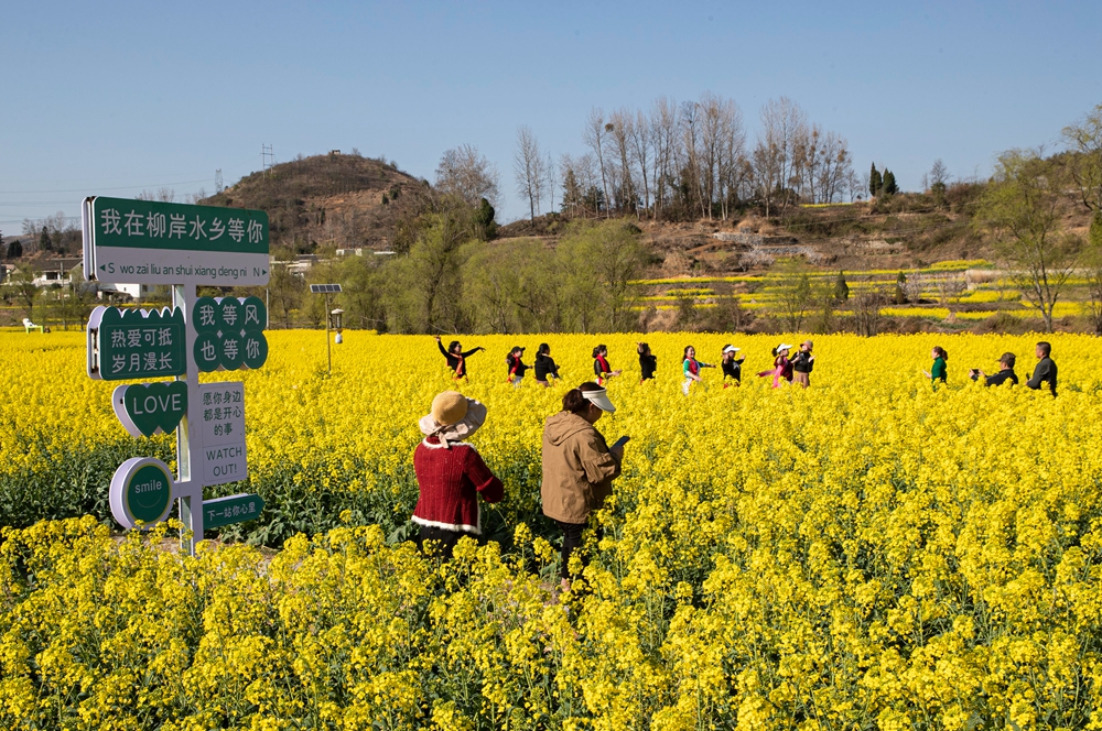 贵州黔西：踏青赏花 乐享春光_fororder_2024年3月11日，游客在贵州省黔西市洪水镇解放村观赏油菜花。B62I5629.JPG