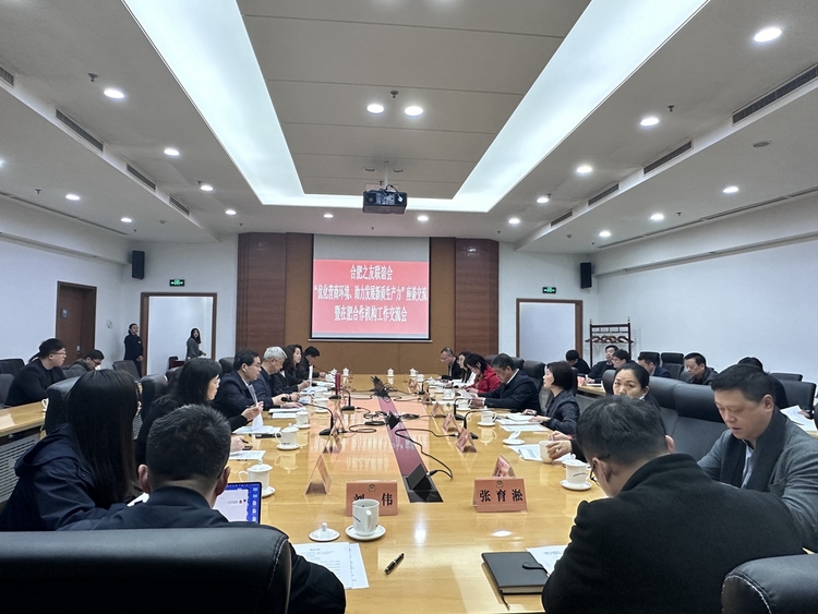 合肥之友联谊会“优化营商环境 助力发展新质生产力”座谈交流暨在肥合作机构工作交流会成功举办_fororder_微信图片_20240315154405