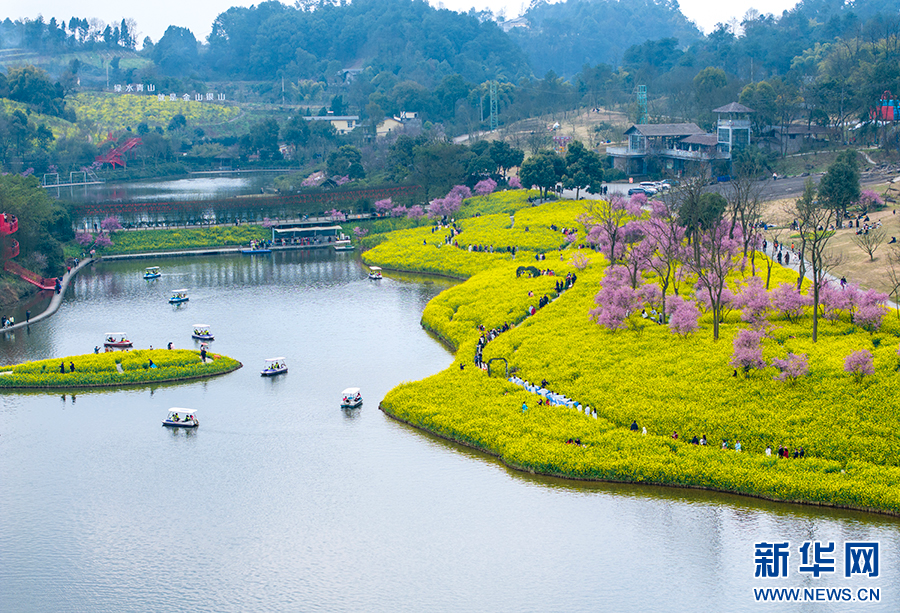 重庆巴南：花海踏春景如画