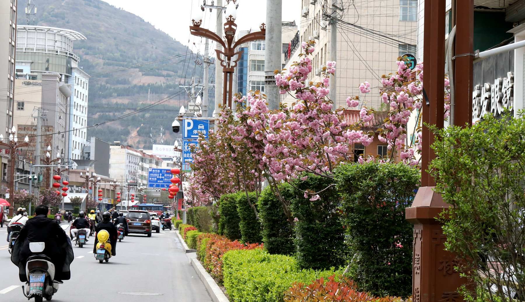 【原创】天水甘谷：打造城市绿化景观 提升城市绿化品质